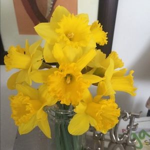 Meet your Posher, Yvonne